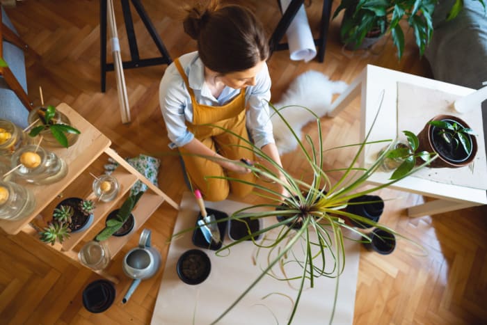 Courtesy of Getty Images